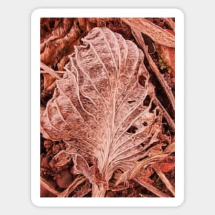 Winter Leaf Sticker